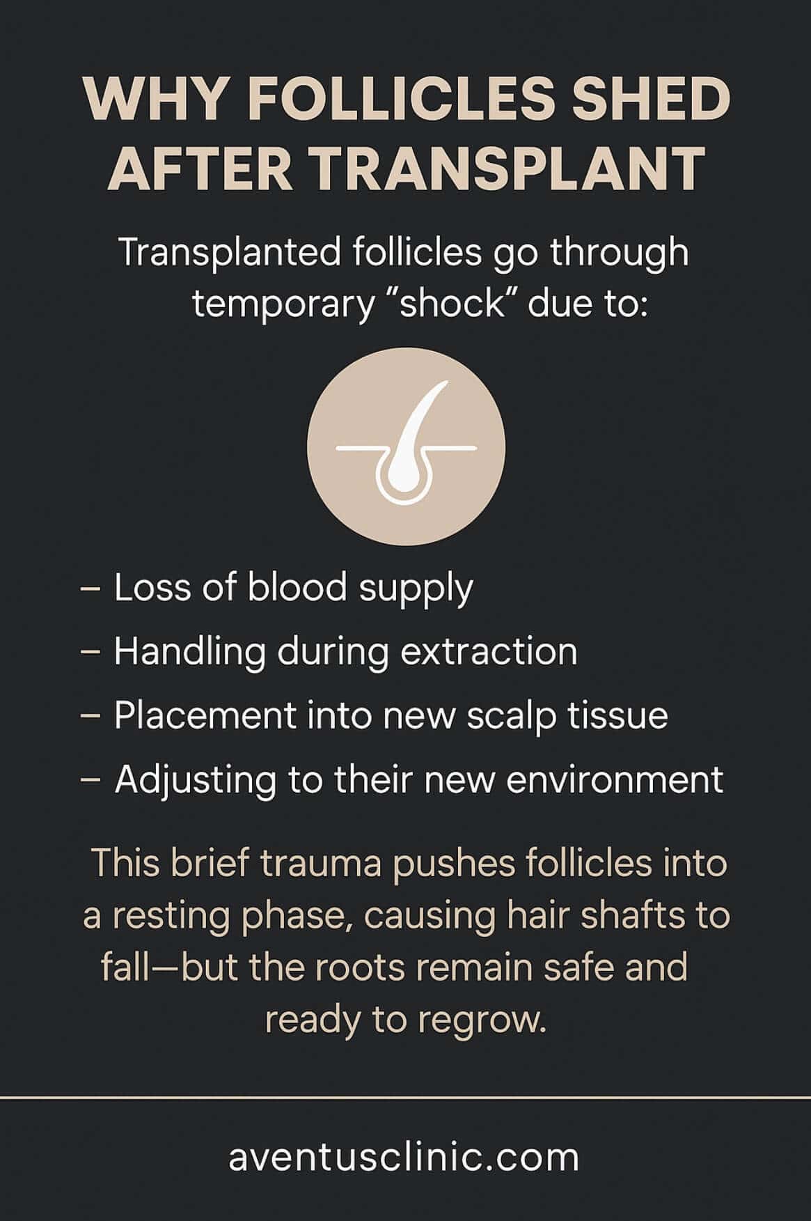 why hair shed after hair transplant