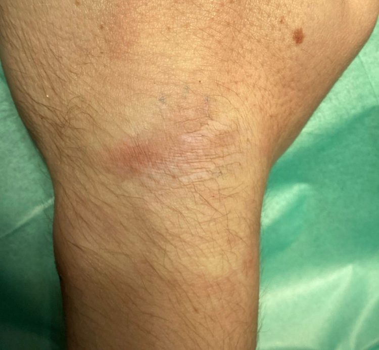 WhatsApp Image 2025-11-25 at 19.00.13